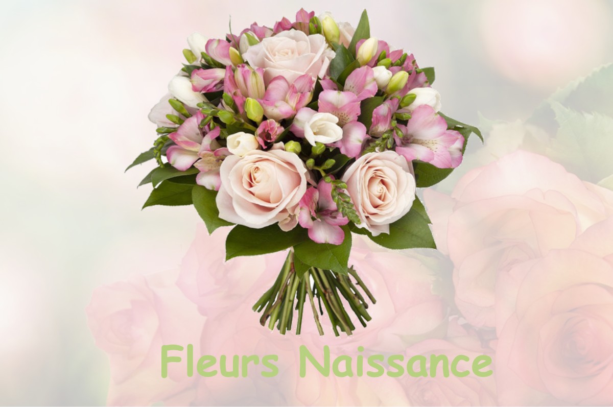 fleurs naissance ISSY-L-EVEQUE
